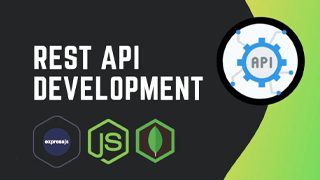 API development