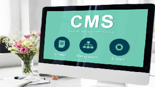 CMS(Content Management System) development